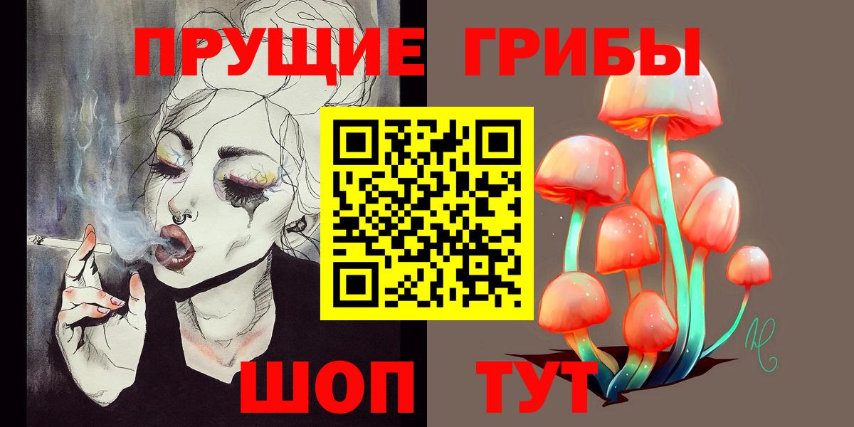 Псилоцибиновые грибы мицелий Алейск