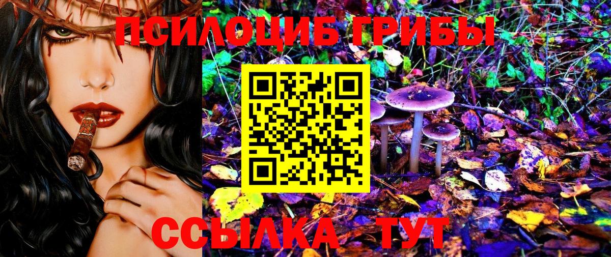 Алейск  Псилоцибиновые грибы Magic Shrooms  Вход с VPN  Псилоцибиновые грибы ЛСД 